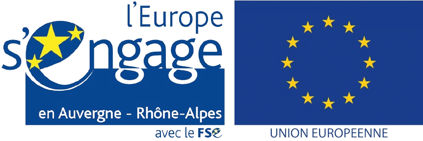 logo-fse-removebg-preview